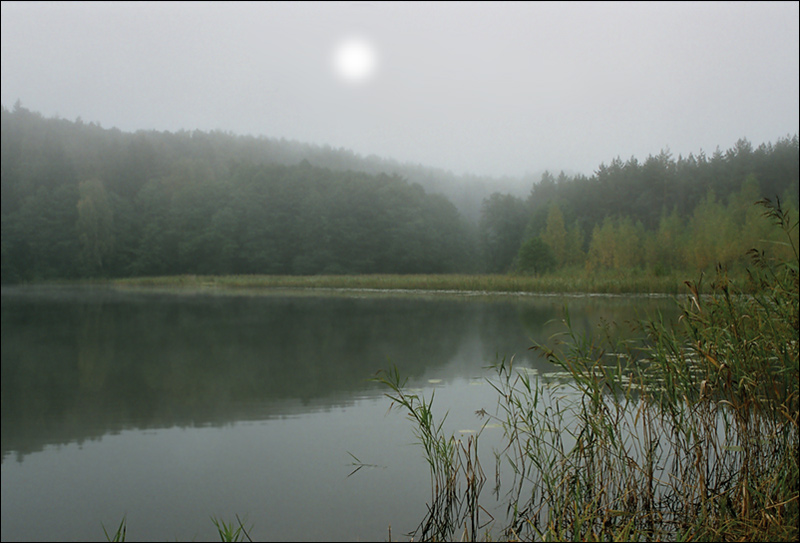 photo "Morning in a fog" tags: landscape, autumn, water