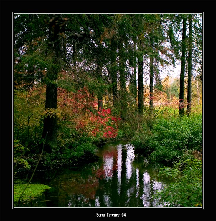 photo "Autumn palette #2." tags: landscape, autumn, forest