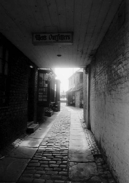 photo "The Alleyway" tags: misc., 