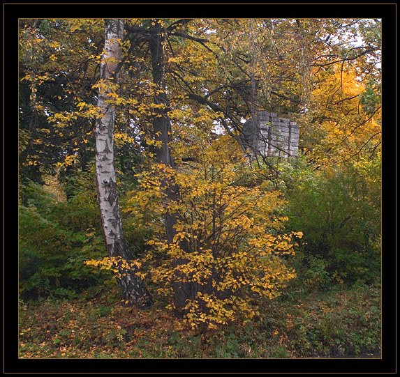 photo "Tsaritsyno, island with ruins" tags: landscape, autumn