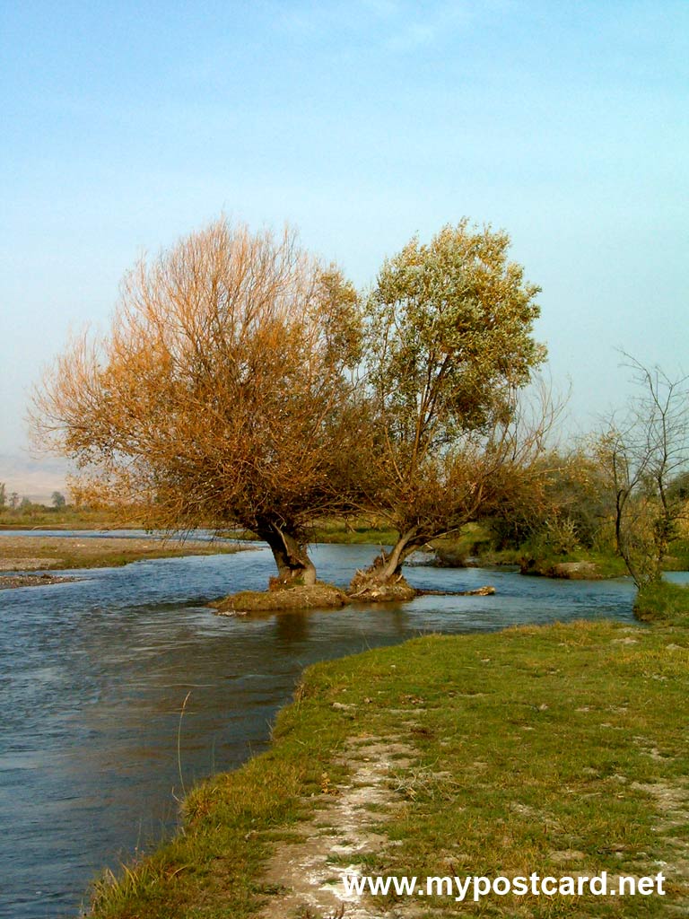 photo "the Love" tags: landscape, nature, forest