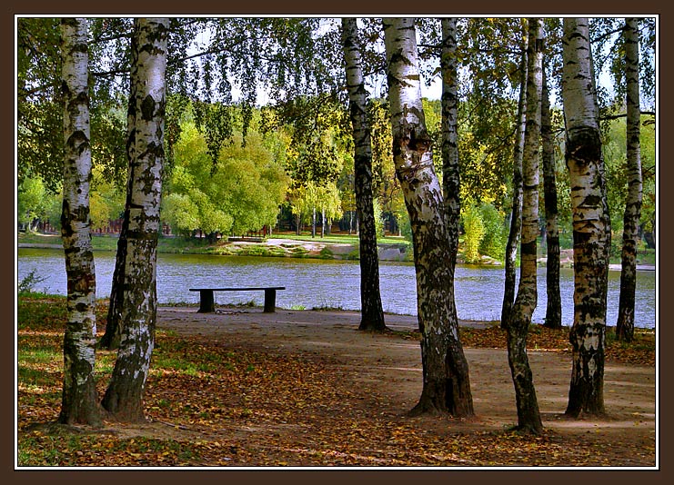 фото "Грустная, но светлая картинка с пустой скамейкой" метки: пейзаж, осень