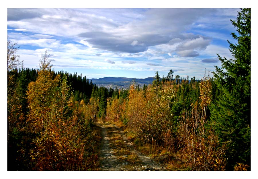 photo "Mood of fall" tags: landscape, autumn