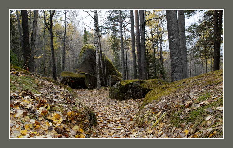 фото "Пути дорожки" метки: пейзаж, осень