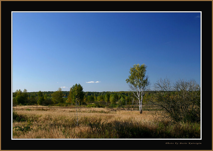 photo "**I**" tags: landscape, autumn, forest