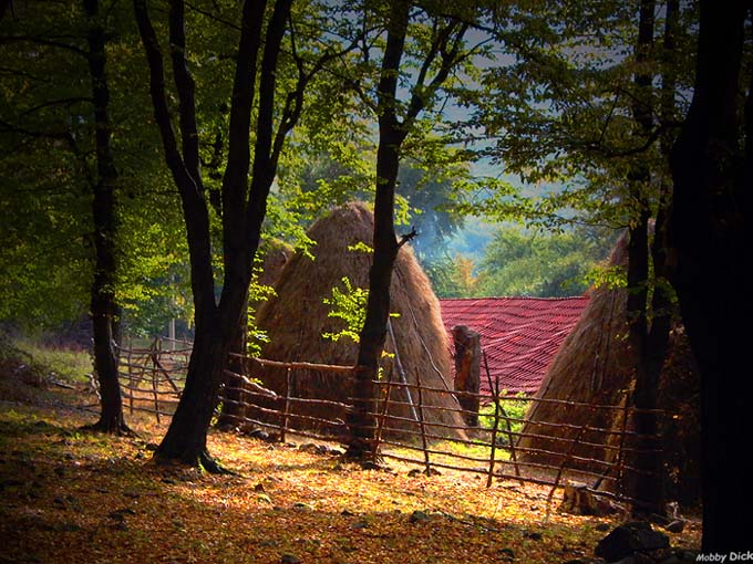 photo "Farm" tags: landscape, nature, 