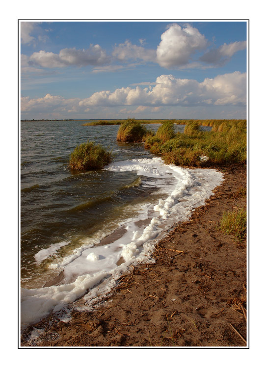 photo "Spume # 2" tags: misc., landscape, autumn