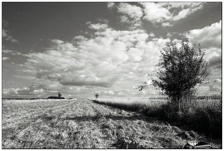 photo "Field." tags: landscape, clouds