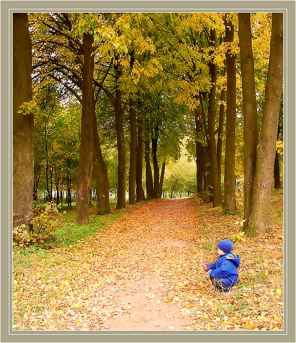 photo "The rare autumn mushroom has grown on avenue" tags: landscape, autumn