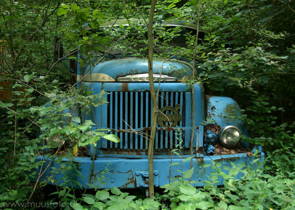 photo "Long term parking ?" tags: nature, humor, 