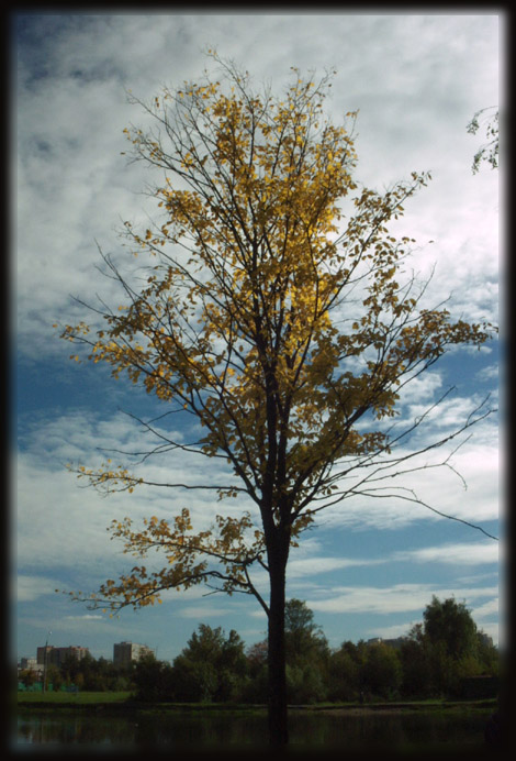 photo "cold weather" tags: landscape, autumn, clouds