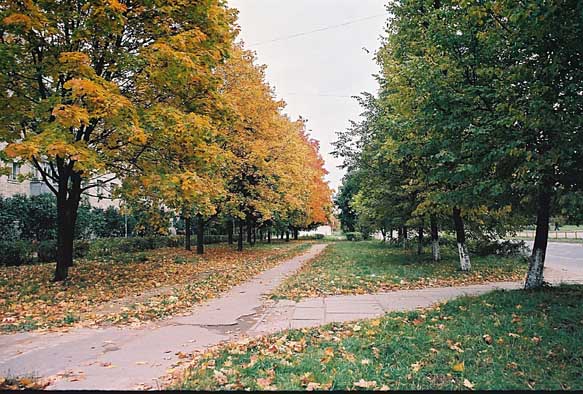 фото "Осень золотая" метки: пейзаж, осень