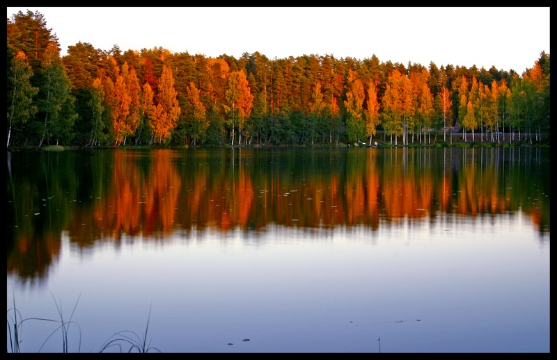 photo "Autumn colours..." tags: landscape, autumn