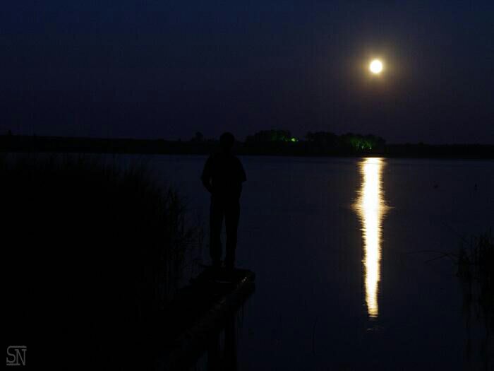photo "my night browser" tags: misc., 