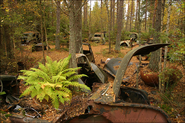 фото "Long term parking ??" метки: природа, юмор, 