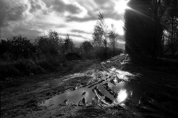 photo "." tags: black&white, landscape, autumn