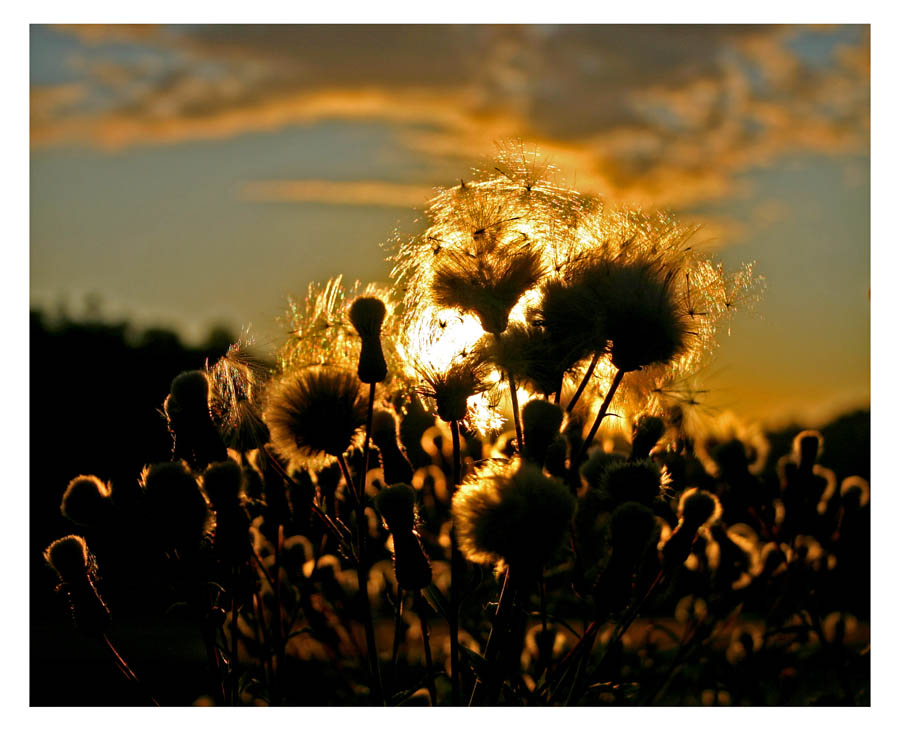 photo "Warm evening" tags: landscape, sunset