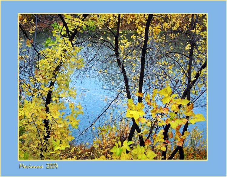 photo "Yellow sheet" tags: misc., landscape, autumn
