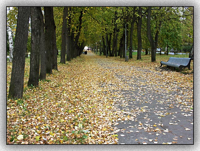 photo "Autumn" tags: landscape, nature, autumn, flowers