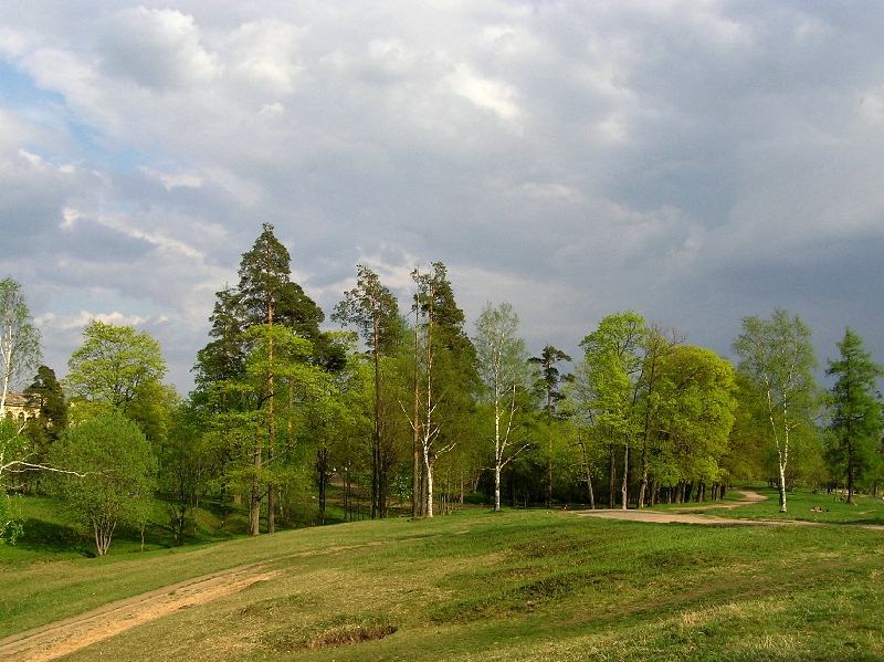 photo "In Prioratsk park" tags: landscape, forest, spring