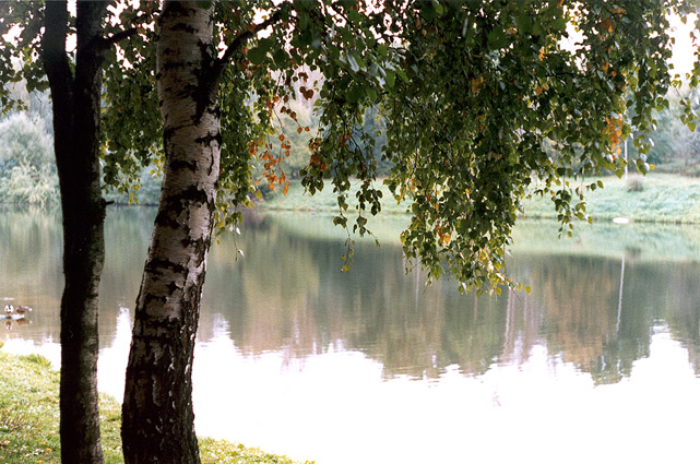 фото "Тишина..." метки: пейзаж, вода, осень