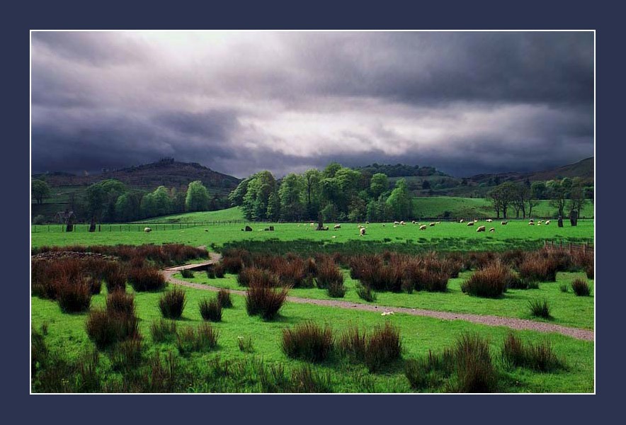 photo "Scottish Atmosphere" tags: landscape, spring