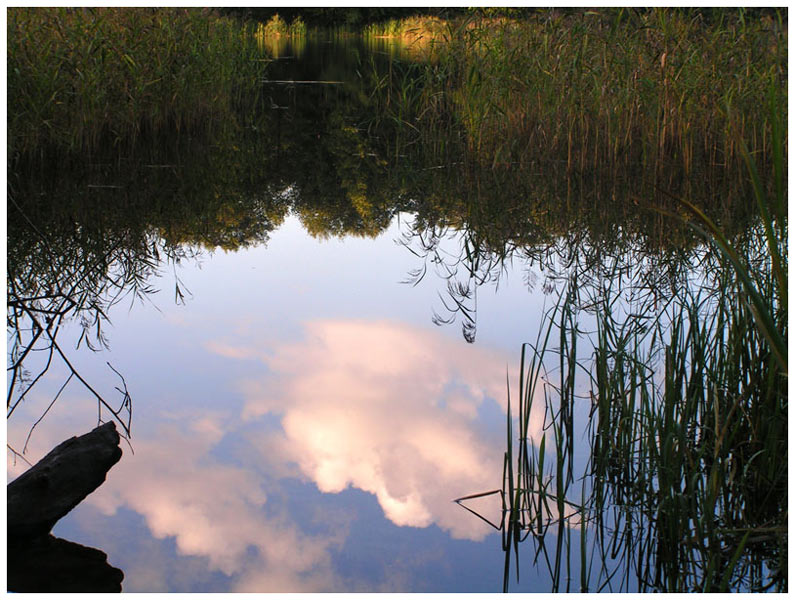 photo "Lake" tags: landscape, clouds, water