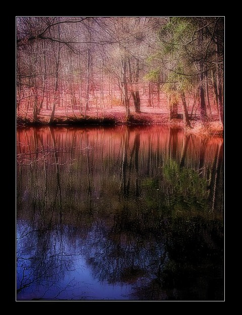 photo "magical lake #2" tags: nature, landscape, flowers, forest