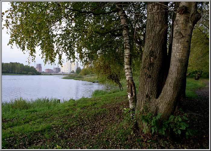 photo "Untitled photo" tags: landscape, autumn