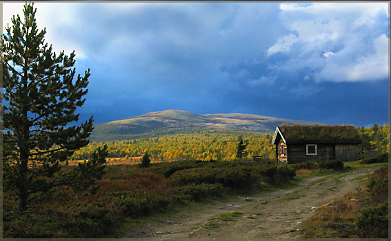 фото "Fall" метки: пейзаж, осень