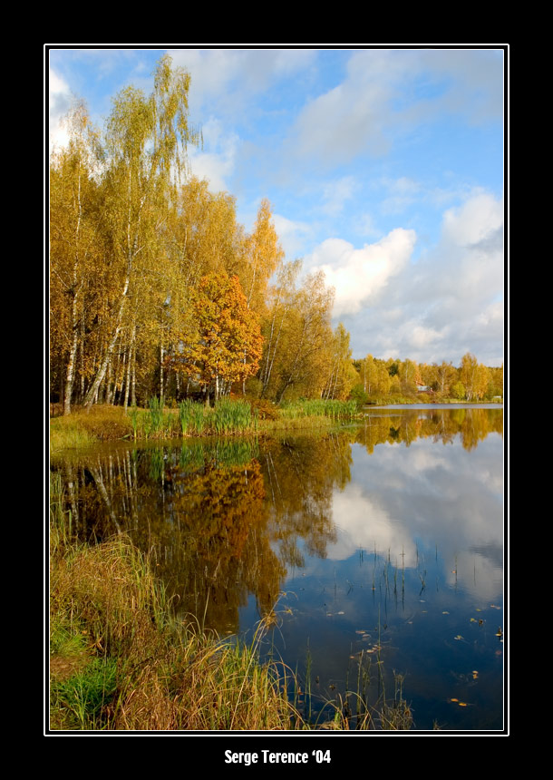 photo "Autumn palette #4" tags: landscape, forest, water