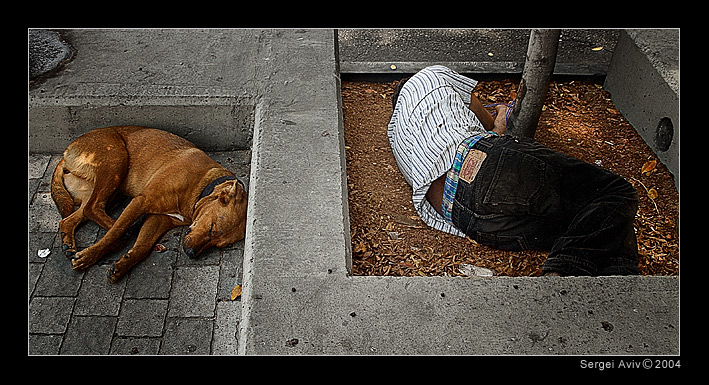 photo "About the dog life" tags: reporting, genre, 