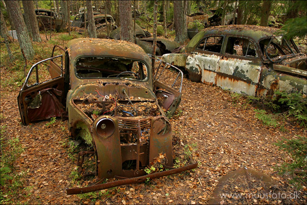photo "Long term parking ???" tags: landscape, travel, Europe, forest