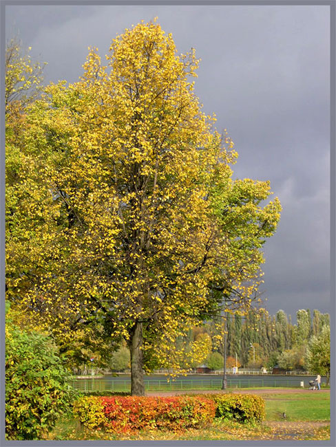 photo "Autumn mood" tags: nature, 