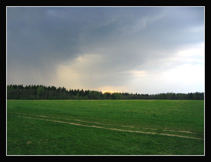 photo "No title" tags: landscape, clouds, forest
