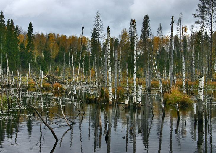 photo "Untitled photo" tags: landscape, autumn