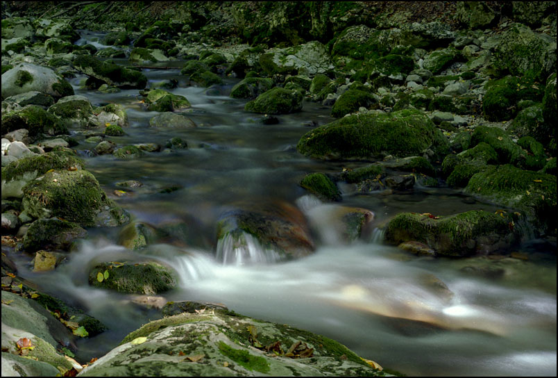 фото "Горная речка" метки: пейзаж, вода, лес