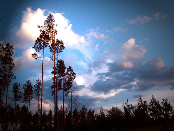 photo "Before a thunder-storm" tags: landscape, summer