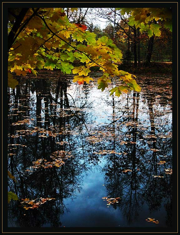 фото "Немного солнца в холодной воде" метки: пейзаж, осень
