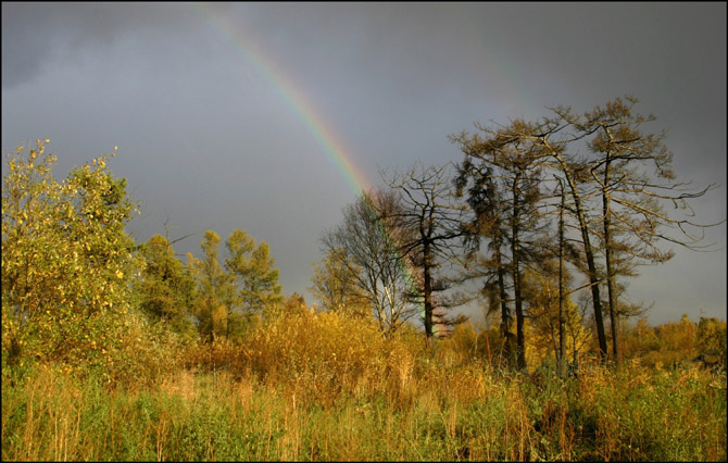 фото "Вдоль ручья-2 (Радуга справа)" метки: пейзаж, осень