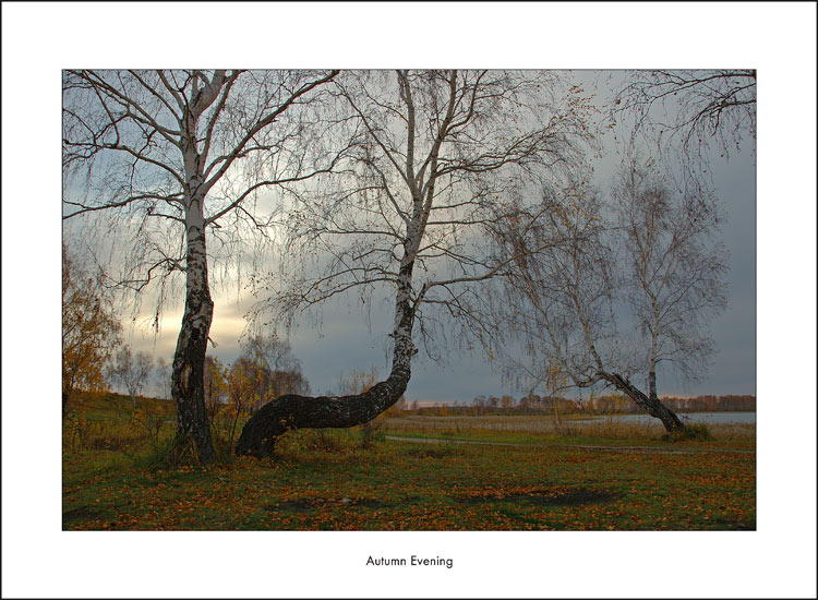 photo "Autumn Evening" tags: misc., landscape, autumn