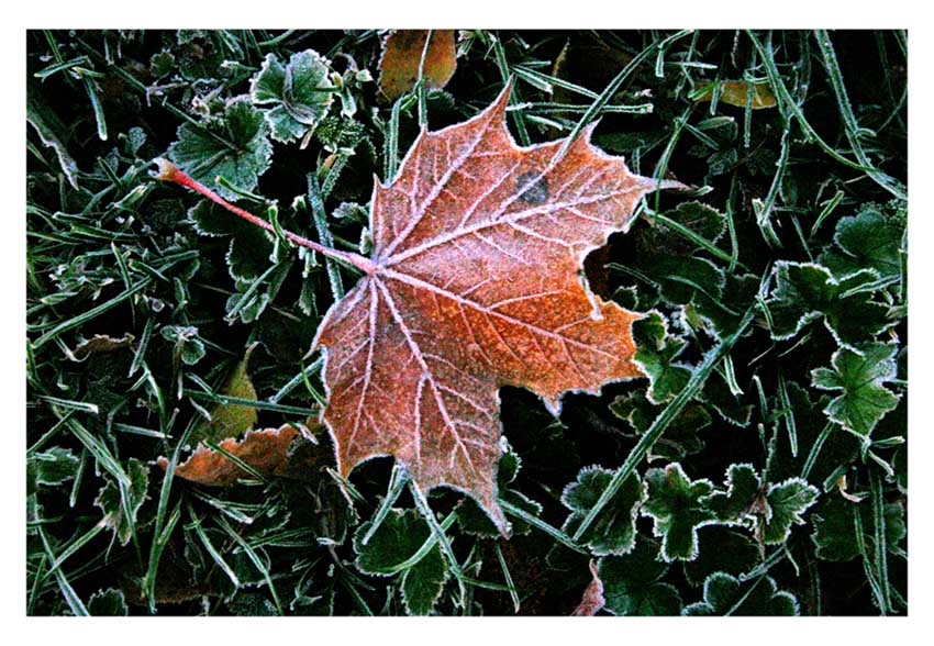photo "Cold night" tags: landscape, autumn