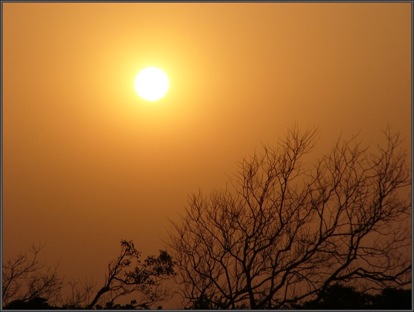 photo "sunset function" tags: landscape, forest