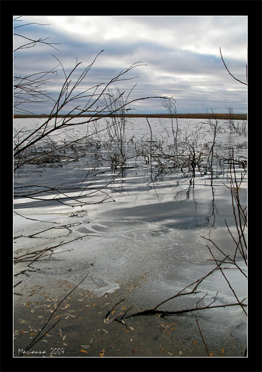photo "Leaden water" tags: landscape, autumn, water
