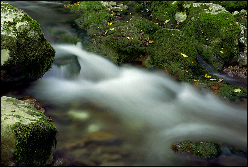 фото "Smooth water" метки: пейзаж, вода, лес