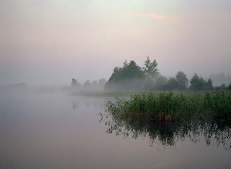 photo "Morning mist" tags: landscape, sunset