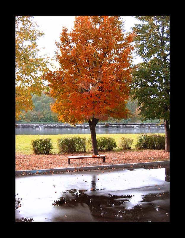 photo "Mellow Autumn" tags: architecture, landscape, autumn