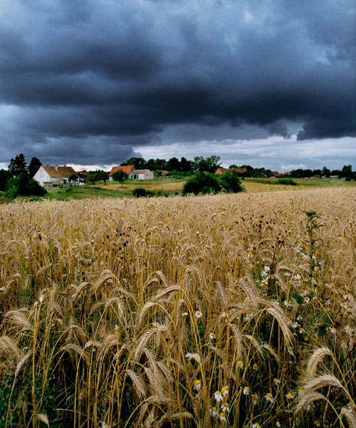 фото "Warmia 5" метки: пейзаж, лето, облака