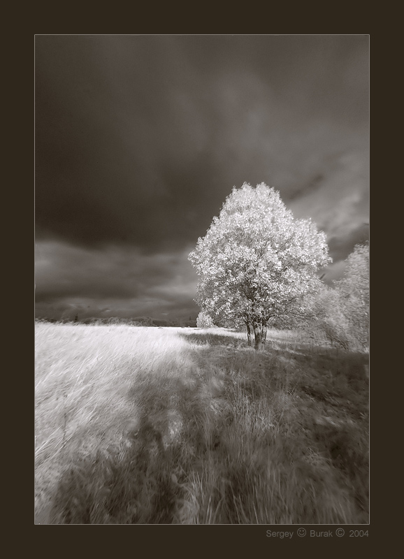 photo "Landscape in an IR spectrum – 2" tags: landscape, black&white, 