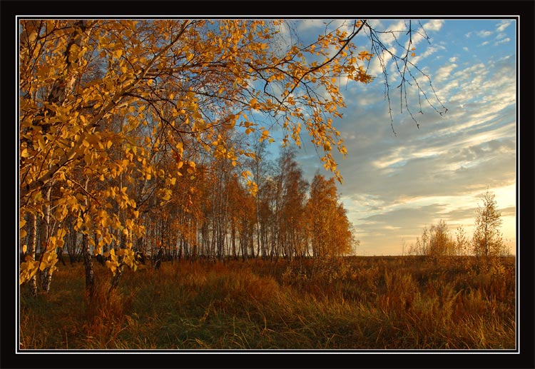 photo "Hearts Curtain" tags: landscape, autumn, sunset